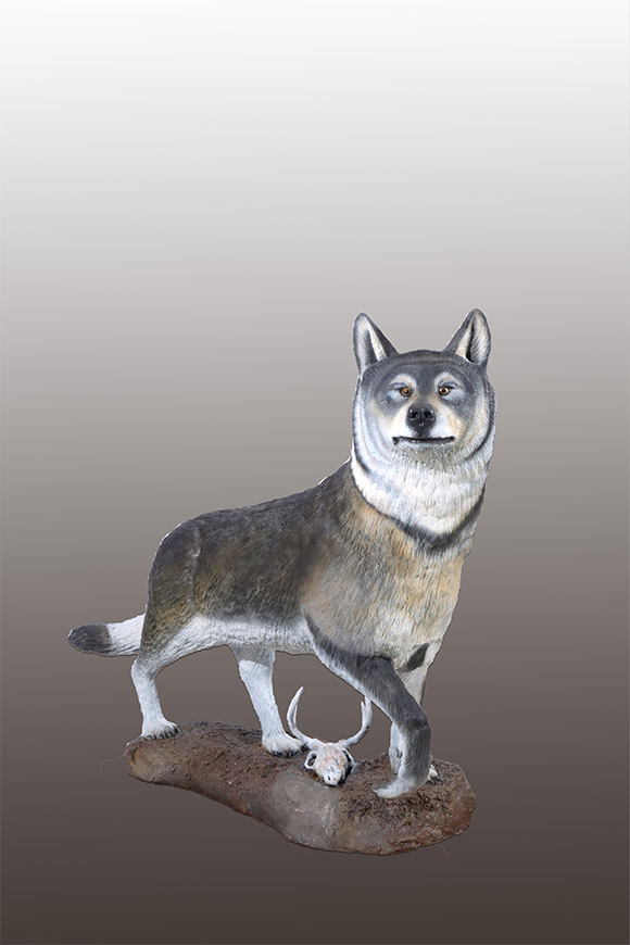 LIFE-SIZE TIMBER WOLF