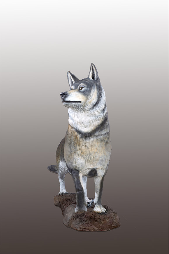 LIFE-SIZE TIMBER WOLF