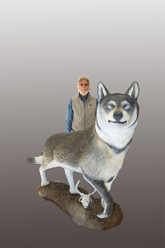 LIFE-SIZE TIMBER WOLF